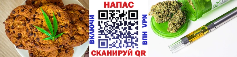 закладки  Березники  Cannafood конопля 