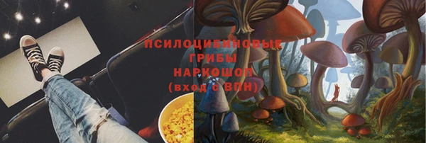 PSILOCYBIN Верхнеуральск