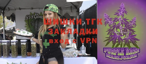 мдпв Волосово