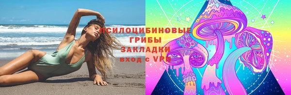 apvp Верхний Тагил